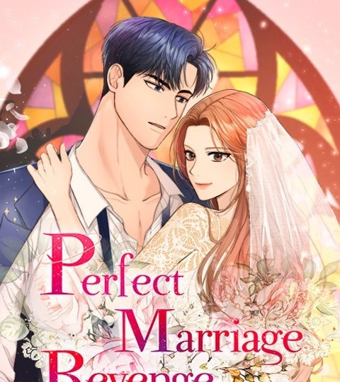 Perfect Marriage Revenge封面